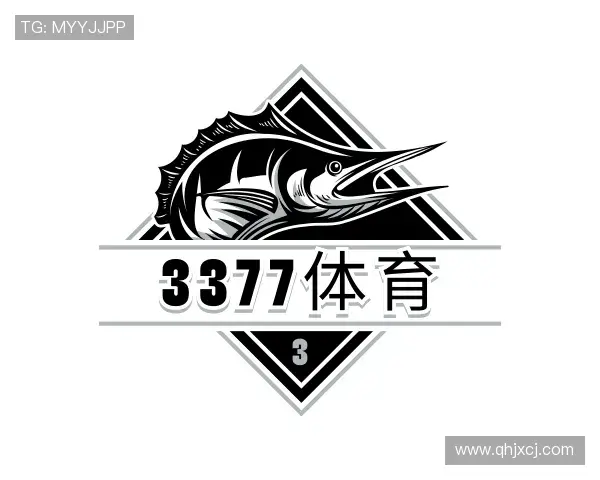 解读3377体育